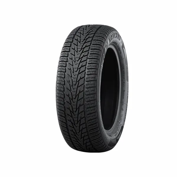 Winter Activa 4 195/55 R20 95 H