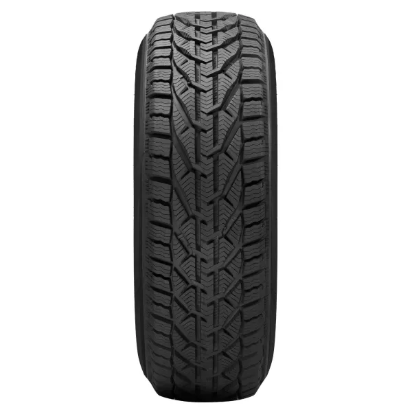 WINTER 205/55 R16 91 T