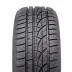 Hankook Winter i*cept evo W310 245/50 R18 100H - zdjęcie dodatkowe nr 1 miniaturka