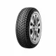 Gt radial WINTERPRO 2
