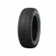 Nankang Winter Activa 4